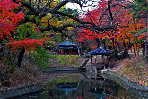 Changdeokgung Palace Gardens: A Stunning Oasis of Tranquility in Seoul's Heart!