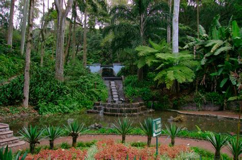 Jardín Botánico Regional de Xalapa! Explore the Lush Biodiversity of Veracruz's Botanical Paradise.