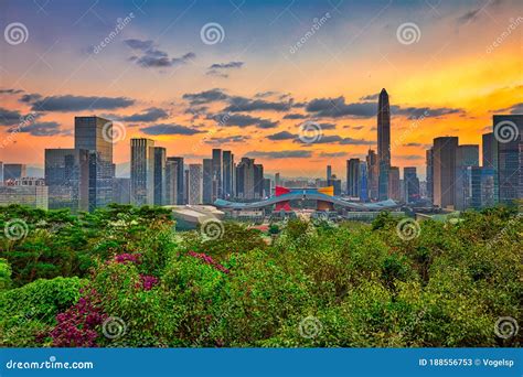  Splendid Splendor at Lianhua Hill: A Green Oasis Above the Shenzhen Skyline!