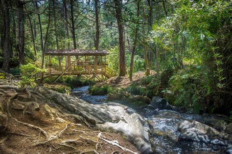 Parque Arví: A Journey Through Nature and Tradition in Medellín!